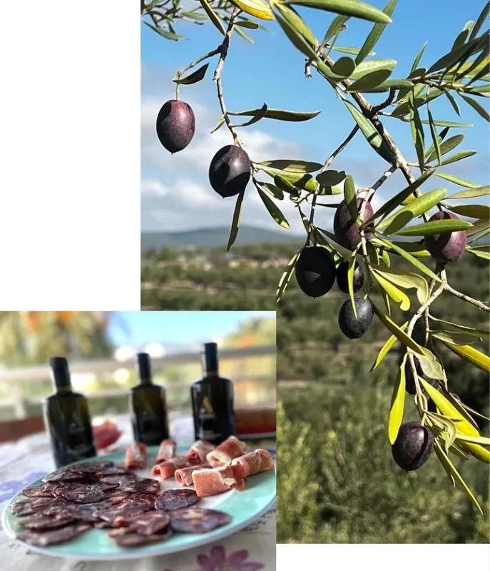 aceite de oliva virgen extra